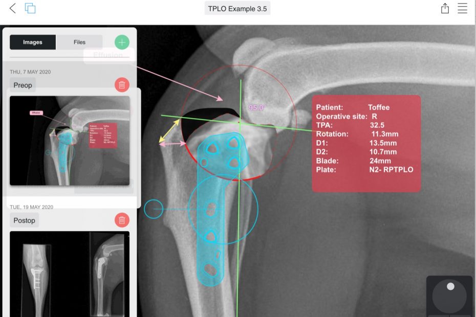 Visbion veterinary image management